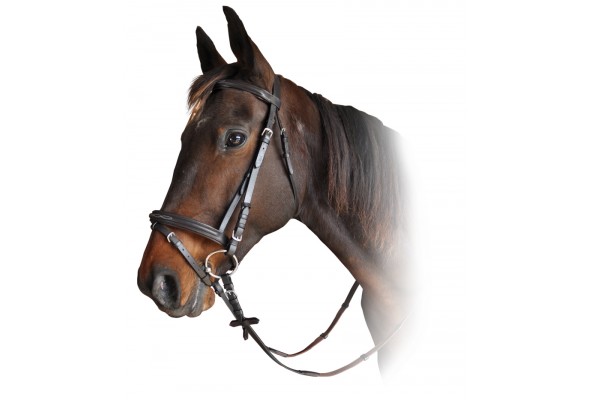 Prima Classic Stitched Bridle