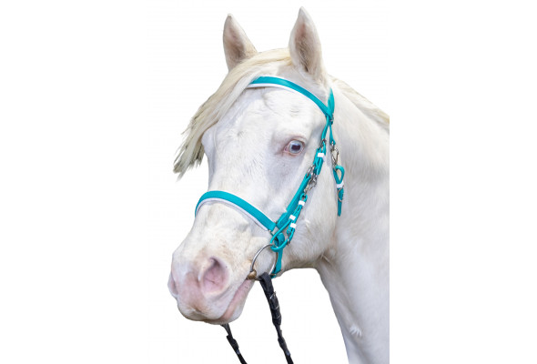 Stride Deluxe Endurance Bridle