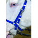 Stride Deluxe Endurance Bridle