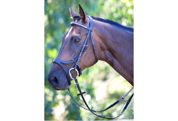 Enzo Sophia Deluxe Bridle