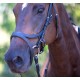 Enzo Sophia Deluxe Bridle
