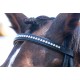Enzo Sophia Deluxe Bridle