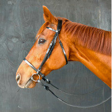 Stride Race Bridle