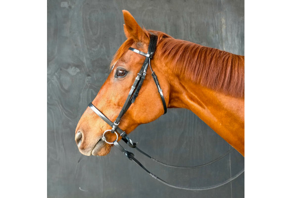 Stride Race Bridle