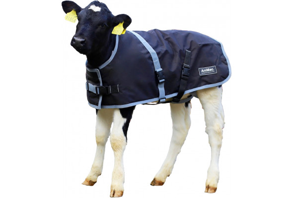 Super Calf Jacket