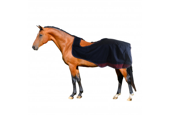 Clearance Exercise Rug