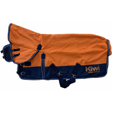 Brite N'' Lite 600D Mini Combo 50g