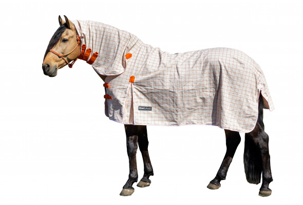 KiwiBlack Kooler Combo