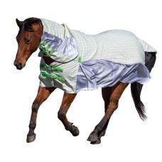 KiwiBlack Crossover Combo