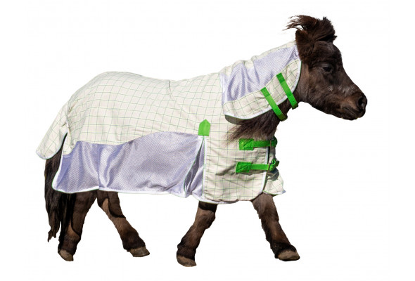 KiwiBlack Crossover Combo Mini