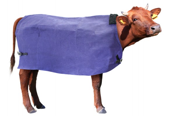 Cow Cover Canvas Wool Lined