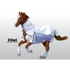 Mid Season Rugs (35)