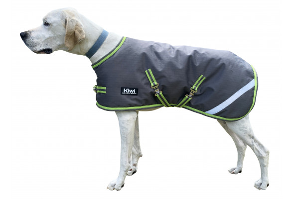 Kiwi 600D 200g Dog Coat w/Surcingle