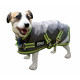 Kiwi 600D 200g Dog Coat w/Surcingle