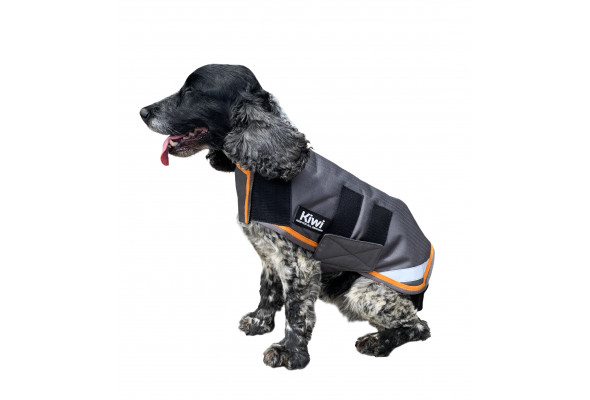 velcro dog coat