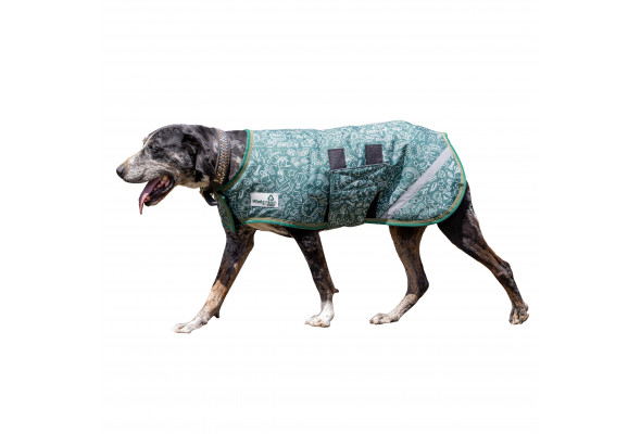 KiwiGreen 600D 200g Dog Coat w/Velcro