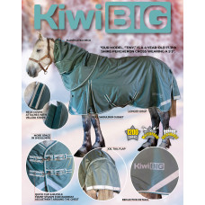 Kiwi Big 1200 Winter Rug Set 100g