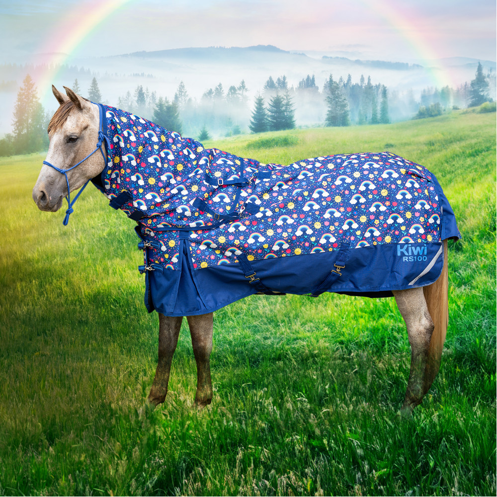 Pony rugs sales