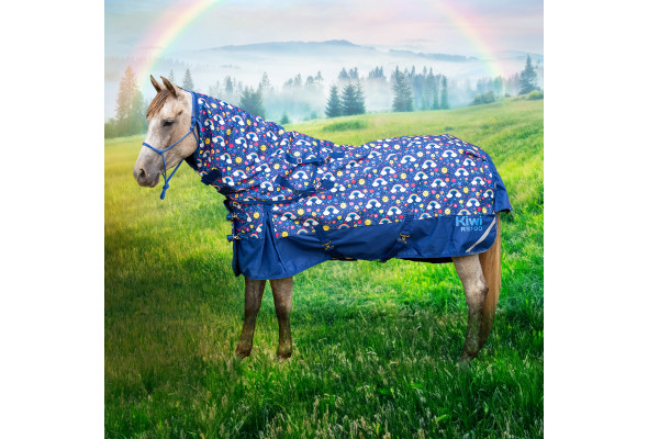 Kiwi 1200 Rainbow Pony Rug Set 100g