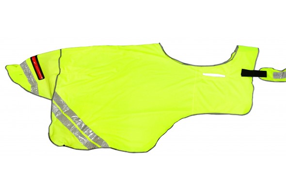 Kiwi Fluro Quarter Sheet