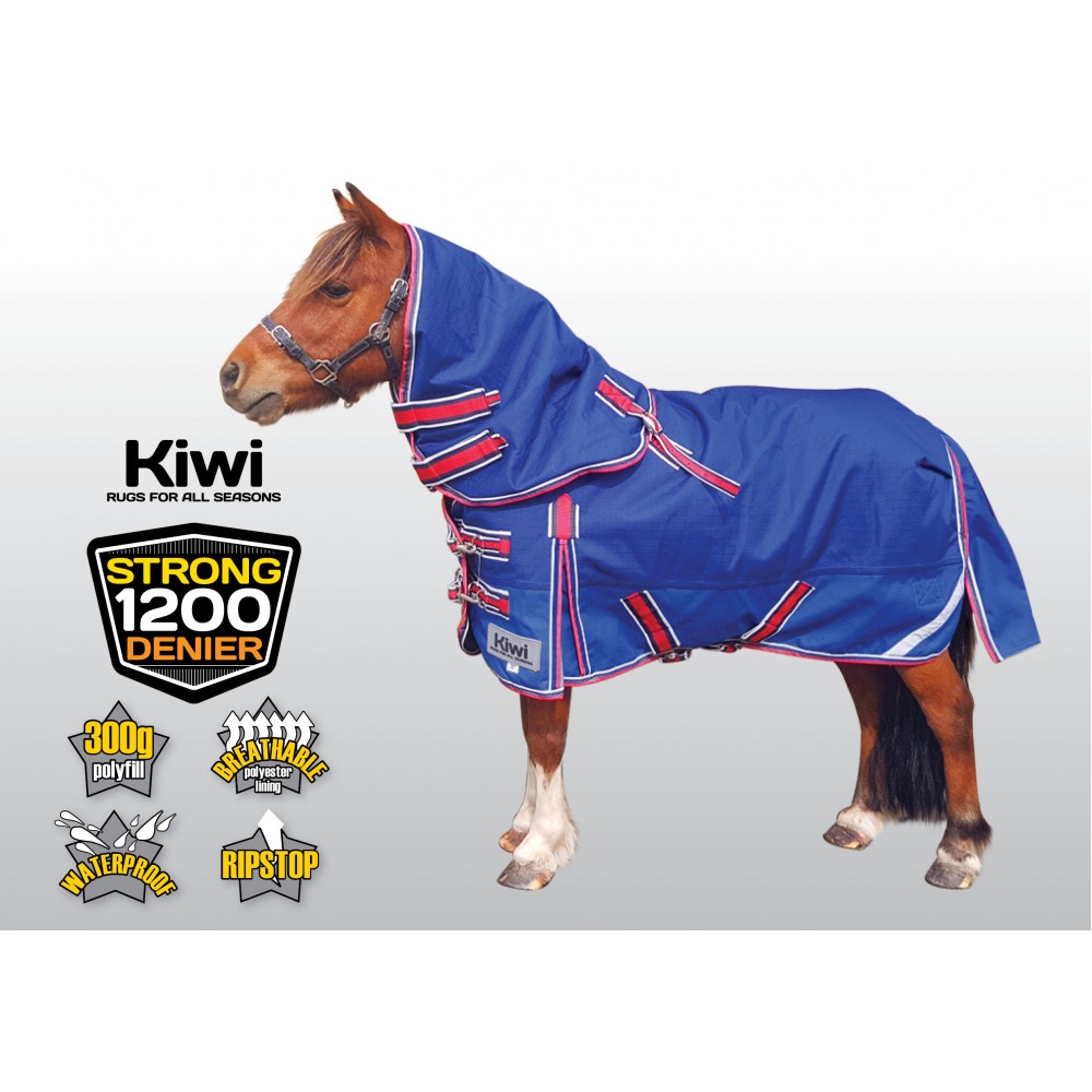 Miniature Horse Winter Rugs Two Birds Home