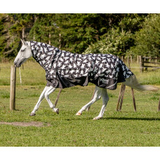 Kiwi 1200 Polar Bear Combo 100g