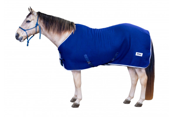 Kiwi Thermal Wicking Rug