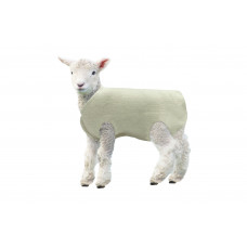 Kiwi Lamb Cover Wool 5pk