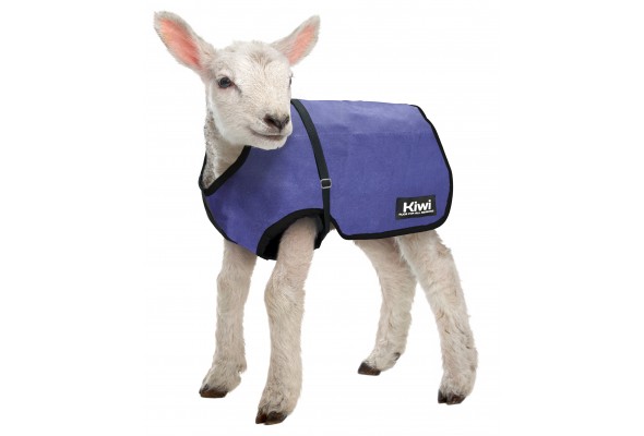 Kiwi Lamb Cover 15oz Wool Lined