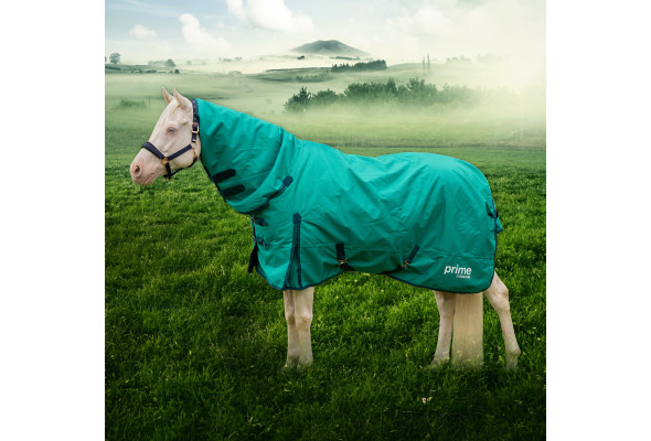 Prime 1200 Winter Combo 100g