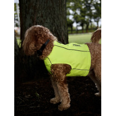 Reflective Dog Vest