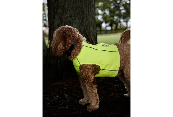 Reflective Dog Vest