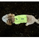 Reflective Dog Vest