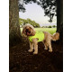 Reflective Dog Vest