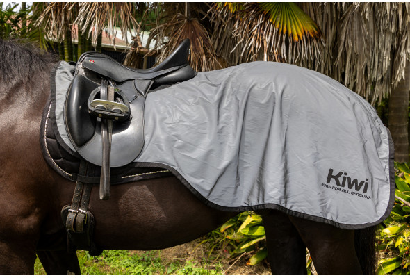 Reflective Riding Rug