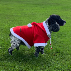 Santa Dog Coat