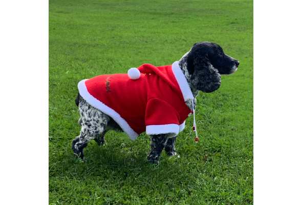 Santa Dog Coat