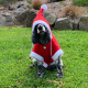Santa Dog Coat