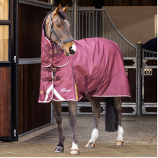 Shires Highlander Plus Combo 100g