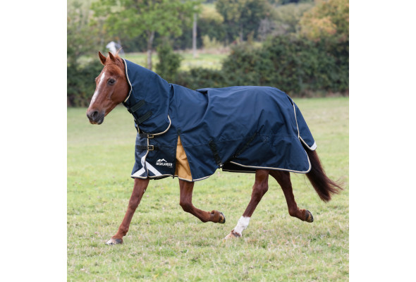Shires Highlander Plus Combo 300g