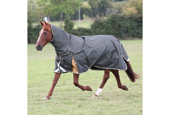 Shires Highlander Plus Combo 50g