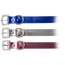 Rufz Metallic Dog Collar