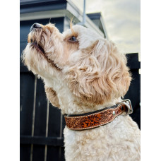 Origin Nevada 18 Leather Dog Collar