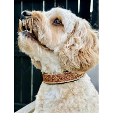 Origin Nevada 19 Leather Dog Collar