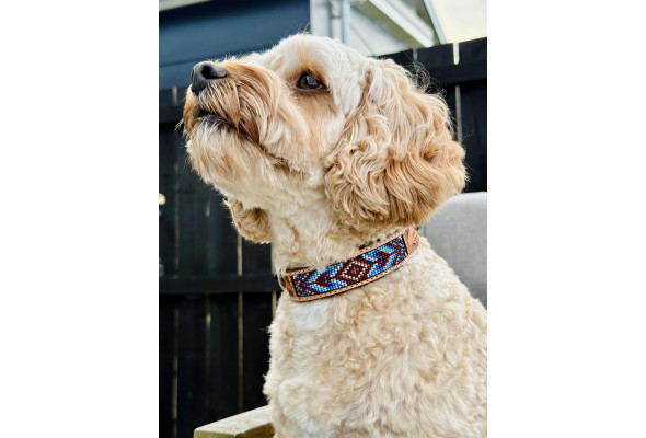 Origin Nevada 25 Leather Dog Collar