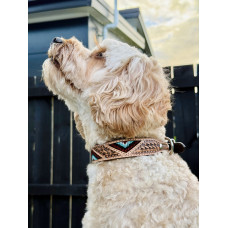 Origin Nevada 26 Leather Dog Collar