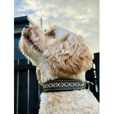 Origin Nevada 27 Leather Dog Collar