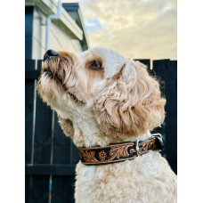 Origin Nevada 9 Leather Dog Collar