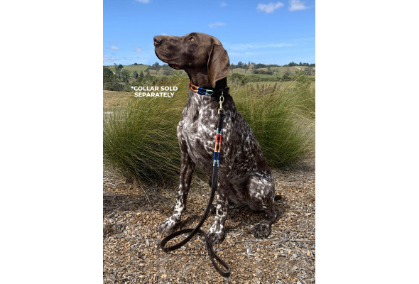 Enzo Polo Leather Dog Lead