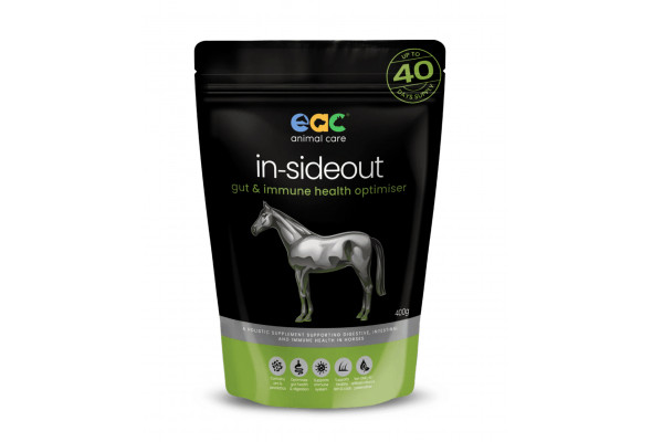 EAC In-Sideout Horse